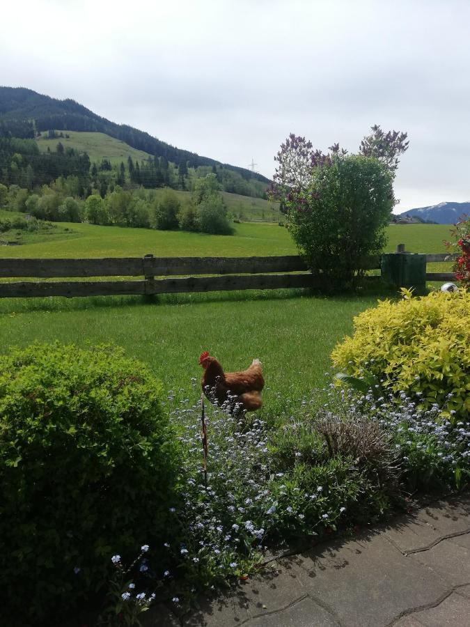 Apartamento Haus Schreder Saalfelden Exterior foto