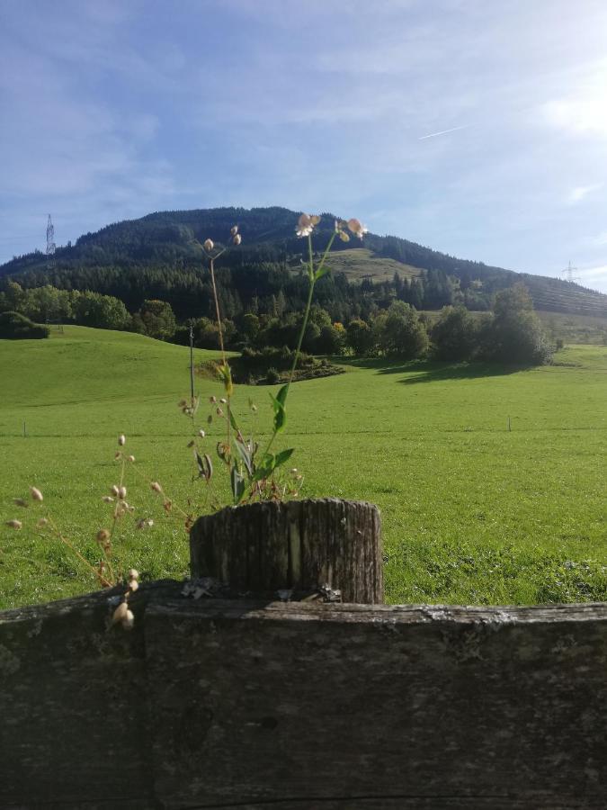 Apartamento Haus Schreder Saalfelden Exterior foto